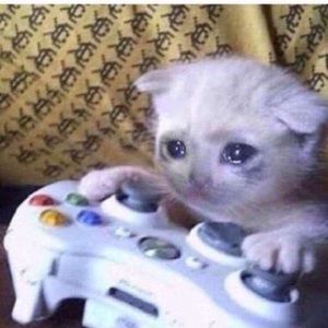 Meet your Posher, Bradley